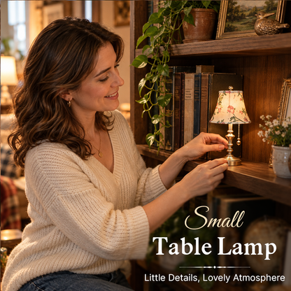 Decorative Mini Lamp for Bookshelves & Desks