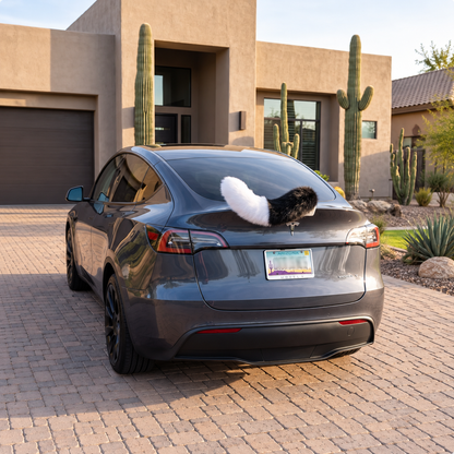 Remote-Controlled Wagging Car Tail